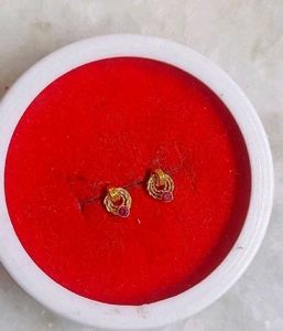 Beautiful New Ring Type Earrings Small