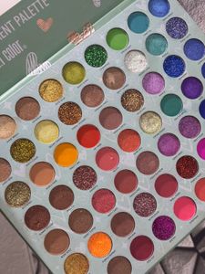 S.F.R Hatred With Love 63 Color Eyeshadow Palette