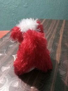 Baby Dog