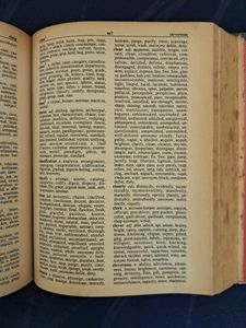 Webster New Dictionary And Thesaurus