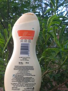 Parachute Body Lotion