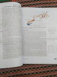 ncert science book class 10 with notes