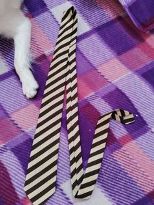 Striped Necktie