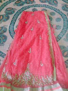 Embroidered Lehenga Choli Set