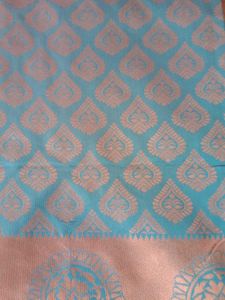 Pink Paisley Sari