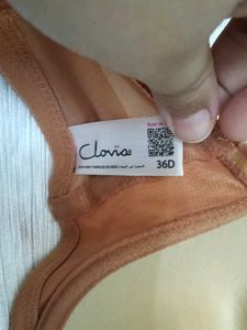 Comfortable Everyday Mesh Net Bra