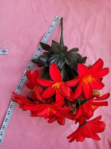 Red Big Flower Bunch