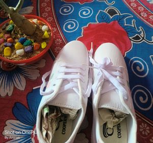 Woman White Sneaker 👟