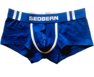 Blue SEOBEAN Boxer Briefs