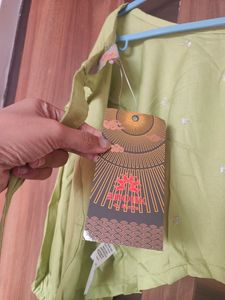 Lime Green Backless Blouse / Crop Top (Women)