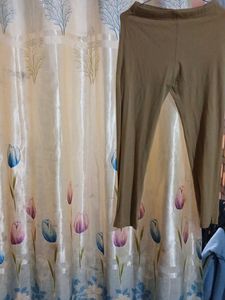 Women  Pancil Pant  Golden