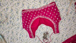 Rani Colour Heavy Lehngaa (3 Piece)