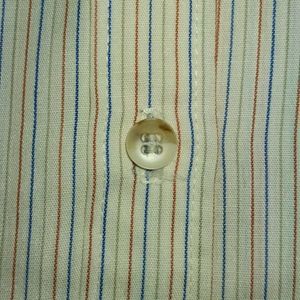 Fitted Striped Button-Down Shirt