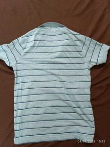 Small  Striped Polo Shirt