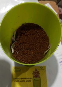 Plant Ganesh Idol in Pot