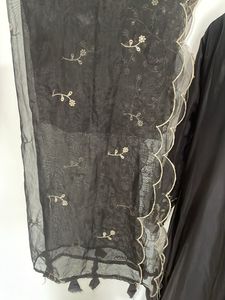 Organza Kurta Set