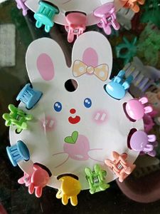 Hair Clips