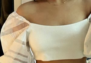 Chic Sheer Sleeve Top