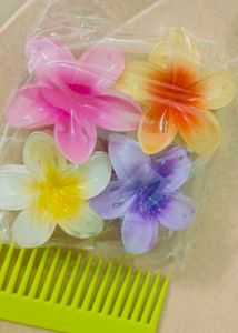 Beautiful Flower Large Size Clatures