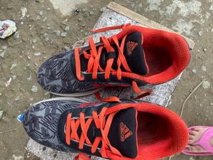 Adidas Sneakers