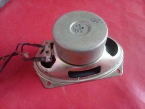 Speaker