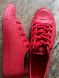 Boys Shoes Or Mens Shoe