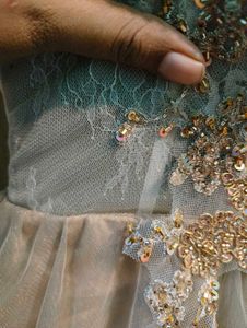 Goldish Grey Embellished Tulle Dress