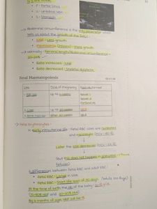 Cheapest Price For Notes Marrow O&amp;G Note