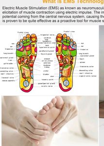 Foot  Massager