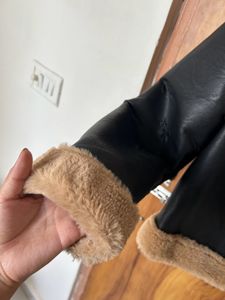 Winter Jacket