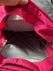 Skybags Pink Backpack