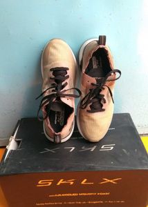 Branded Shoes