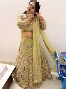 Gorgeous Embroidered Lehenga Choli