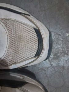Sports Sneakers