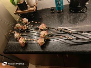 Floral Stem Arrangement