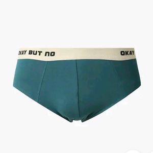 Mens Brief
