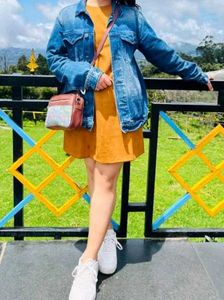 Brown Shift Dress