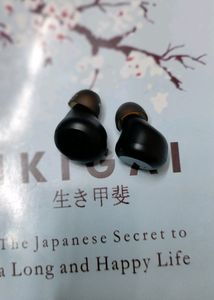 Realme Earbuds Not Working