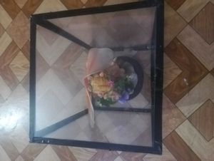 Elegant Fairy Showpiece in a Glass Display Box.