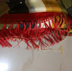 Elegant Striped Saree