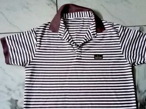 Mens Collar T Shirt