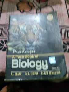 Book