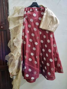Elegant Lehenga Choli Set