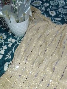 Sparkly Gold Crop Top