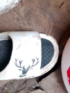 My New Flip Flops