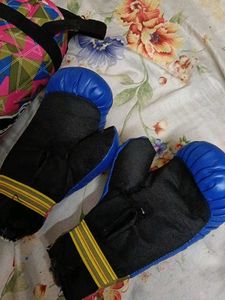Boxing Set with Gloves