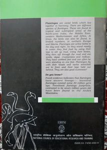 Class 12th NCERT English Textbook (Flamingo)