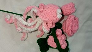 🧶 Crochet Set