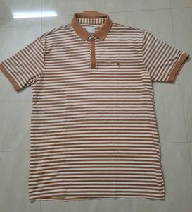 (Size~XL)Brown and white striped polo t-shirt🍋‍🟩