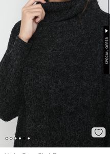 Turtle neck winter dress